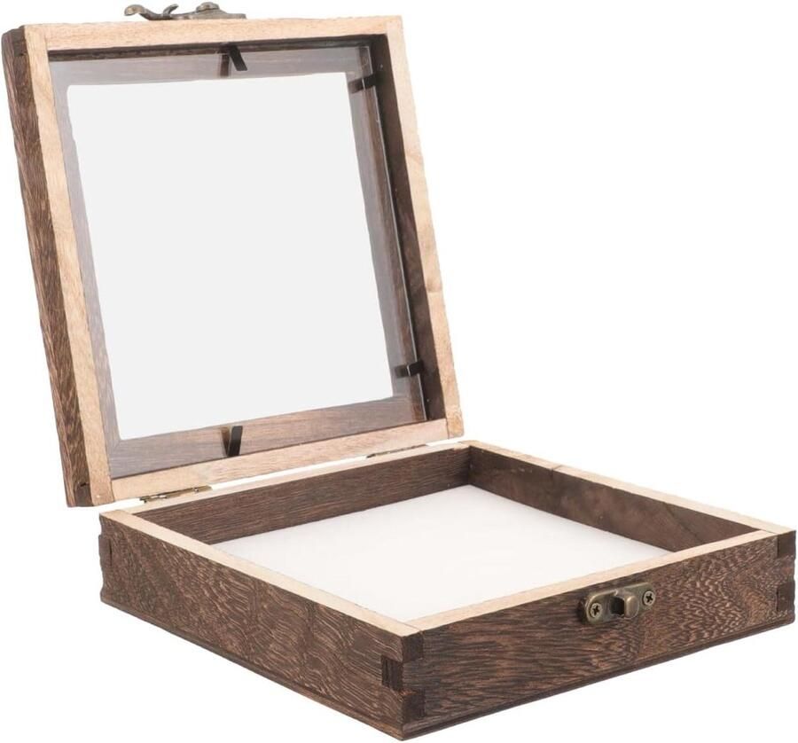 Allecto Plus Insectmonsterhouders van glas Opbergbox voor insecten Vitrine met houten frame en vlinders Tentoonstellingsrek met rotsen Pinvitrine Verzamelaarsitem