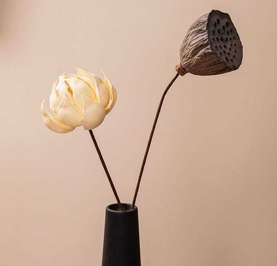 Allecto Plus Kegelvormige matte keramische knopvaas Zwarte vaas voor tafel decoratie Woondecoratie voor kamer en kantoor Slanke bloemenvaas met enkele steel