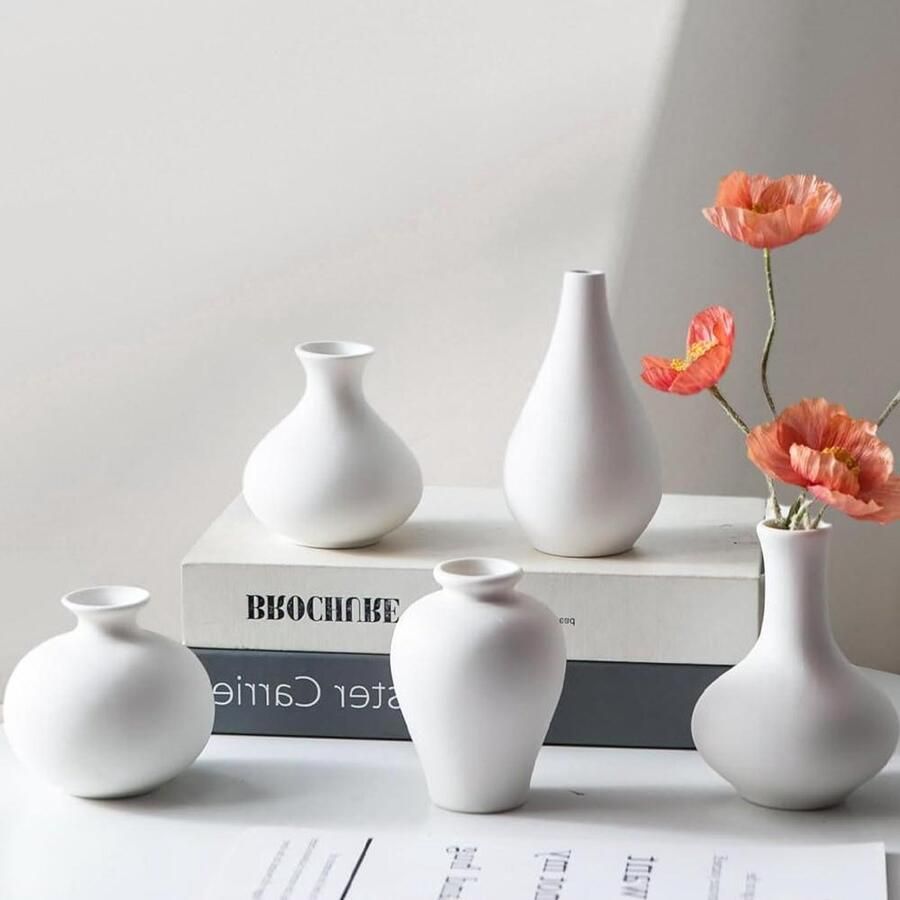 Allecto Plus Keramische vazen set wit voor decoratie en tafeldecoratie 5-delige set kleine vazen voor verse bloemen pampasgras modern design voor woonkamer eettafel boekenkast en schoorsteenmantel witte vaas