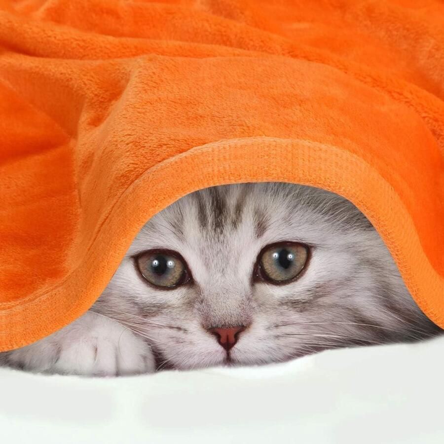 Allecto plus Knuffeldeken Sprei Fleecedeken Microvezel Zacht Warm 330 g m² 230x275cm Oranje Blokrand voor Bed Sofa