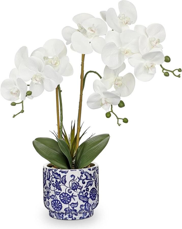 Allecto Plus Kunstmatige Orchidee Bloemen in Pot 59.8cm Witte Orchidee met Blauw en Wit Keramieken Pot Nep Orchideeplant Zijden Nep Phalaenopsis voor Thuis Kantoor Keuken Badkamer Tafel Decoratie middelpunt