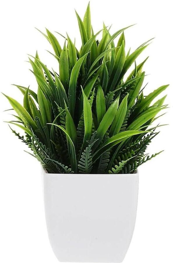 Allecto plus Kunstmatige potplant met kleine vetplanten Groene kunstplant in pot voor kantoor of thuis Mini bonsai eucalyptus voor bureau of decoratie