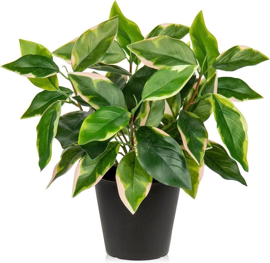Allecto Plus Kunstplanten 30cm Indoor Kunstplanten met Zwarte Potten Decoratieve Nep Planten Realistische Nep Pothos N' Joy voor Thuis Badkamer Woonkamer Keuken Kantoor Bureau Planken
