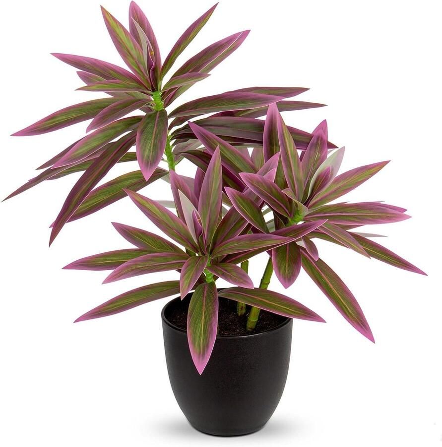 Allecto Plus Kunstplanten in Zwarte Potten Decoratieve Nep Dracaena Plant Realistische Kunstmatige Huisplant voor Thuis Woonkamer Keuken 41cm Woondecoratie Badkamer Plank Tafel - Foto 2