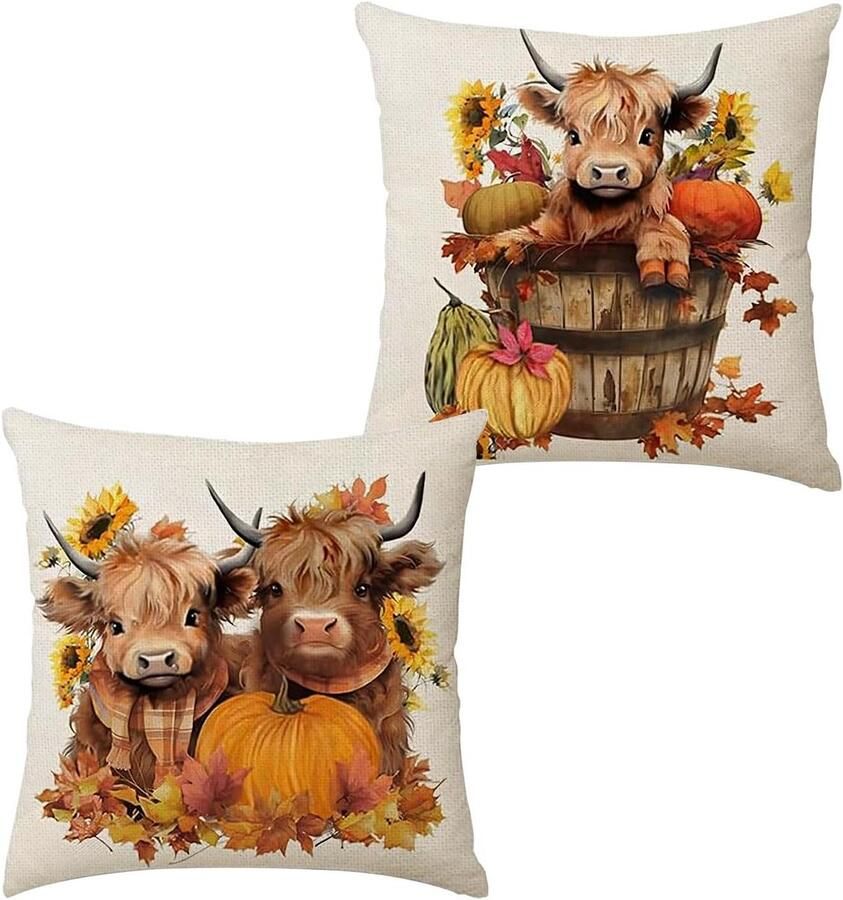 Allecto Plus Kussenhoezen Set van 2 Hoogland Koe Decor Schots Cadeau Kussenslopen voor Fauteuil 50x50cm Woonkamer en Buiten