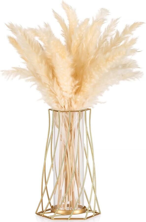 Allecto Plus Metalen Draad Glazen Vaas Voor Bloemen Moderne Gouden Bloemenvaas Pampasgras Vaas Geometrische Tulpenvaas Decoratieve Knopvaas Voor Woonkamer Eetkamer Slaapkamer Bruiloft Tafel Middelpunt