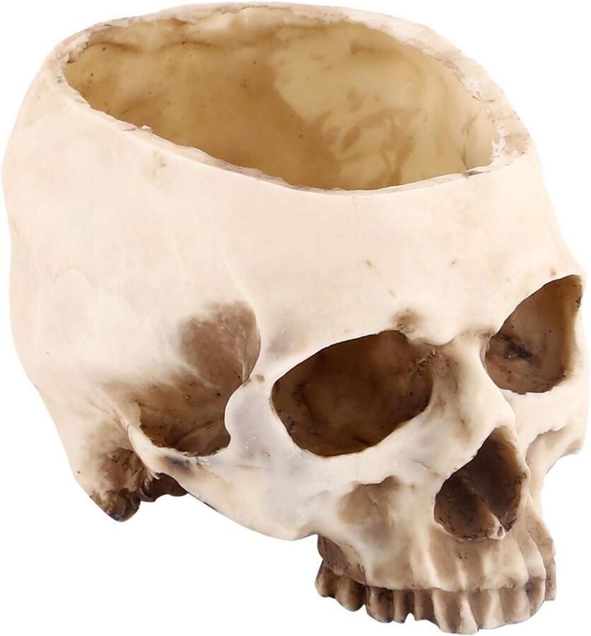 Allecto Plus Middelgroot Skelet Schedel Beeldje voor Halloween Decoratie Decoratieve Bloempot voor Planten Scène Decoratie voor Thuiskantoor Hars Bloempot Set voor Bureau Creepy Design