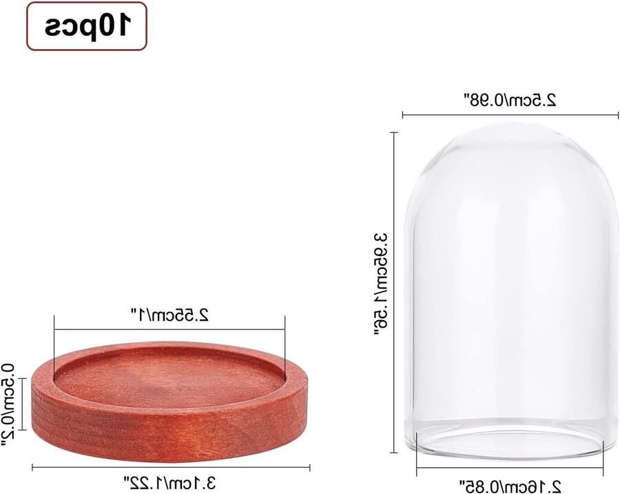 Allecto Plus Mini Eeuwige Bloem Glazen Koepelbel met Houten Bel Decoratieve Glazen Vitrine Voor Tafel Planten Rotsen en Specimens 39 x 25 cm