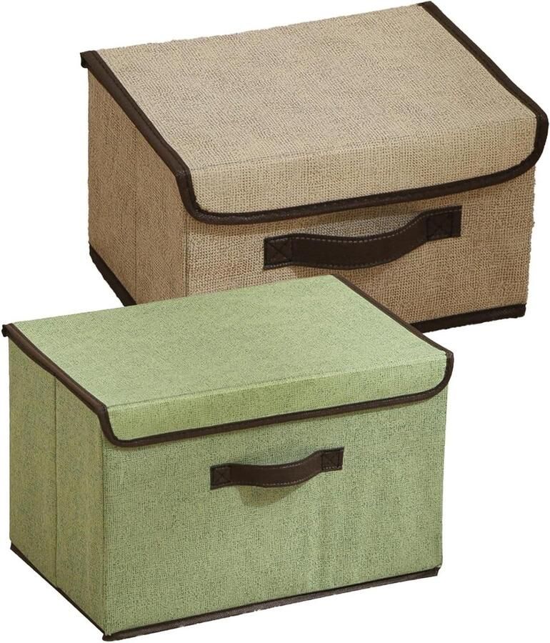 Allecto plus Opbergdozen met deksel en handgrepen 2-delige set Organizer-box voor kast kleding Kratenopslag Gemengde kleur 27 x 20 x 16 cm