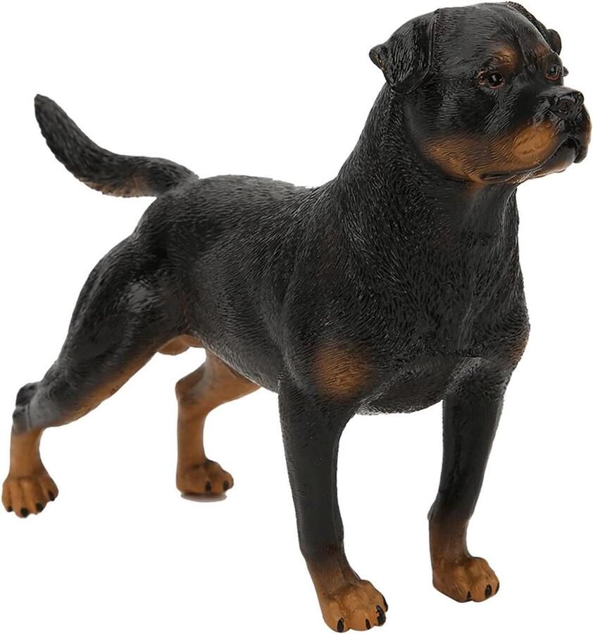 Allecto plus Realistisch Standbeeld van een Rottweiler Decoratief Beeldje van een Hond voor Bureau Decoratie
