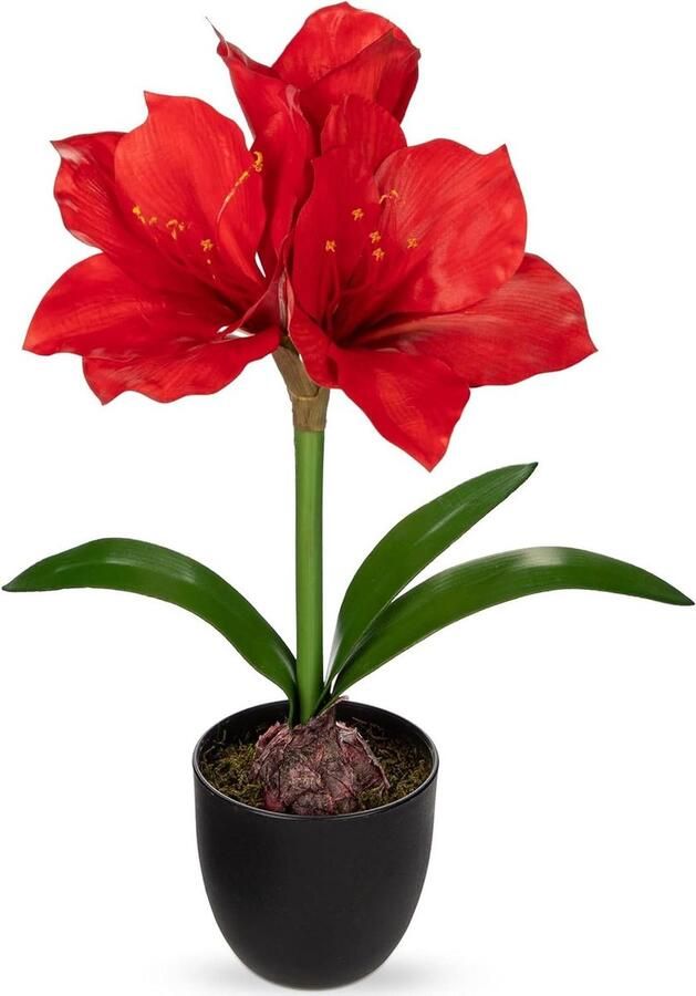 Allecto Plus Roze Kunstbloemen in Zwarte Pot 17.3 Inch Kunstmatige Amaryllis Bloemstuk met Decoratieve Bollen Mos Zijden Amaryllis Plant voor Thuis Kantoor Badkamer Tafel Feestdagen Decoratie