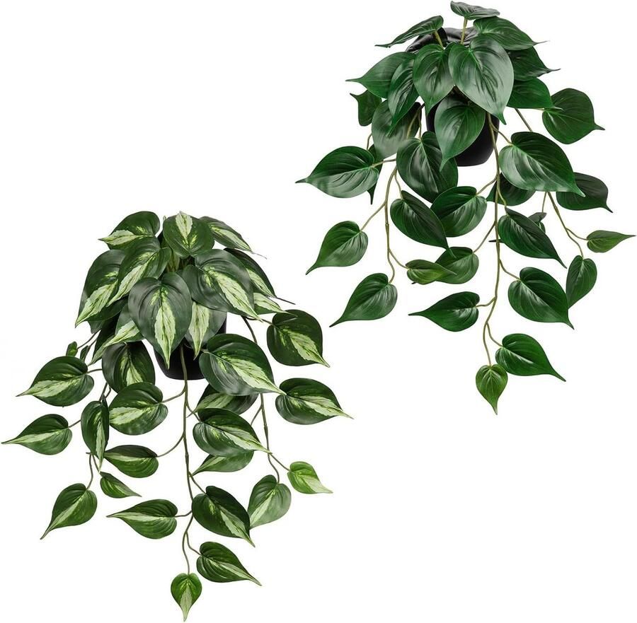 Allecto Plus Set van 2 Kunstmatige Planten Hangende Decoratie Planten voor Binnen en Buiten Kunstmatige Klimop Plant Thuis Kantoor Badkamer Keuken Tafel Decoratie