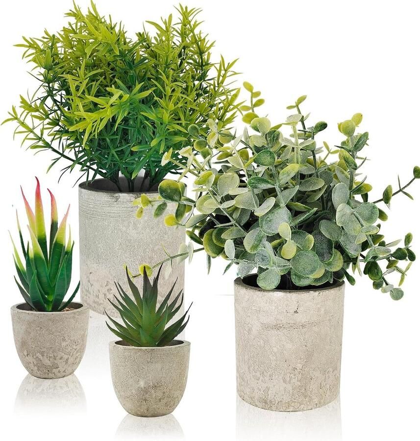 Allecto Plus Set van 4 kunstplanten varen Decoratieve kleine planten met 10m koord voor tafel kantoor en huiselijke decoratie