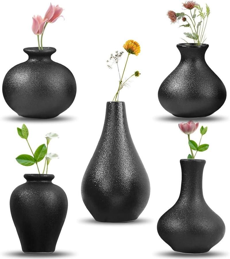 Allecto Plus Set van 5 mini-keramische vaasjes voor moderne wooncultuur Decoratieve vaas voor pampasgras in woonkamer Plankdecoratie voor eettafel Boekenkast en schoorsteenmantel decoratie met ingang