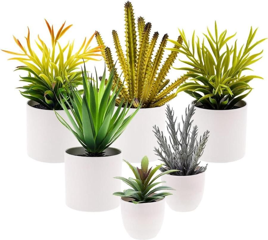 Allecto Plus Set van 6 grote kunstmatige vetplanten in pot Decoratieve nep agave jelly bean Succulent cactus aloe planten Bonsai ornament voor op bureau en in restaurant