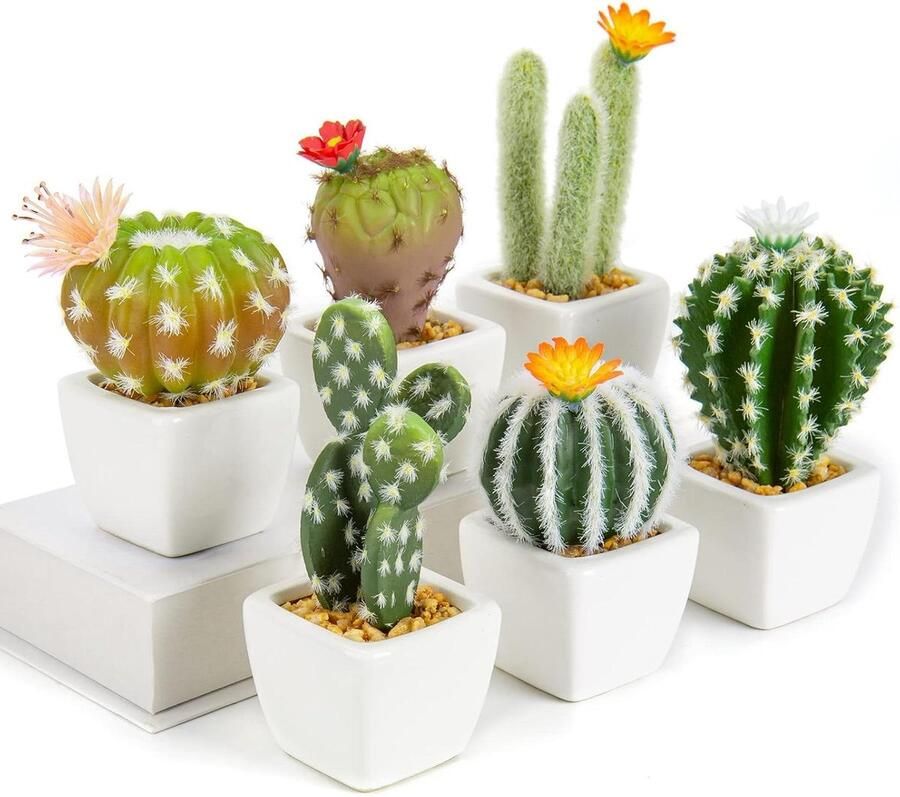 Allecto Plus Set van 6 Mini Kunstmatige Cactusplanten in Keramische Potten Decoratieve Nepplanten voor Thuis Keuken Badkamer Bureau Plank Binnendecoratie
