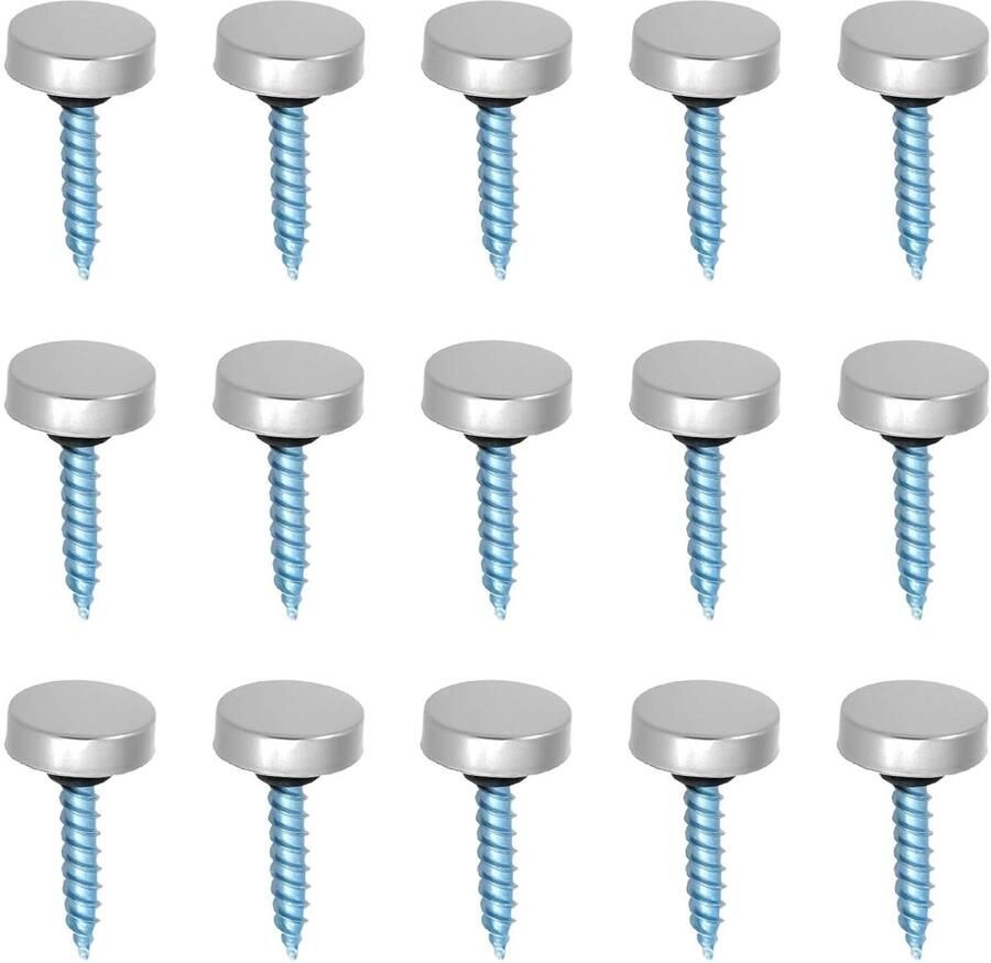 Allecto Plus Spiegel Schroeven Set 80 stuks RVS Cap Covers voor spiegels salontafels garderobe glasmeubels