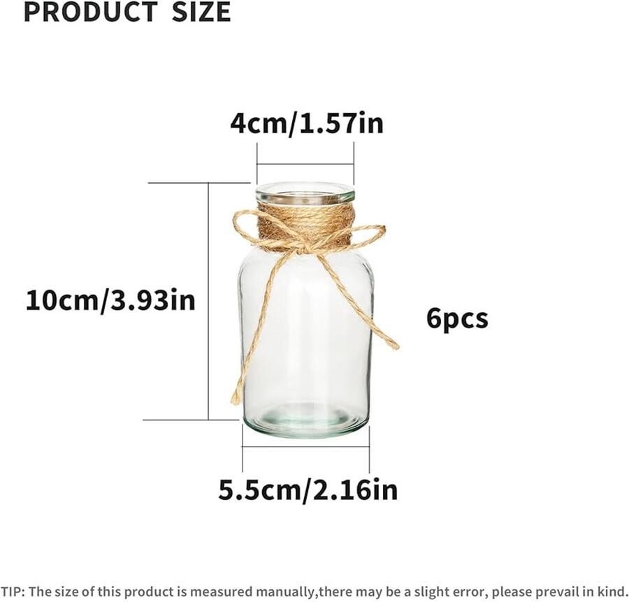 Allecto Premium Doorzichtige glazen vaasjes (6 stuks) voor bloemen Tafel decoratie bruiloft en huis Mini flessen knopvaasset Rond ontwerp Tafelstukken