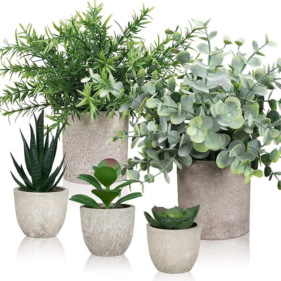 Allecto Premium Set van 5 decoratieve kunstplanten voor kantoor en huis Nepplanten in potten voor bureau en slaapkamer Kunstplanten