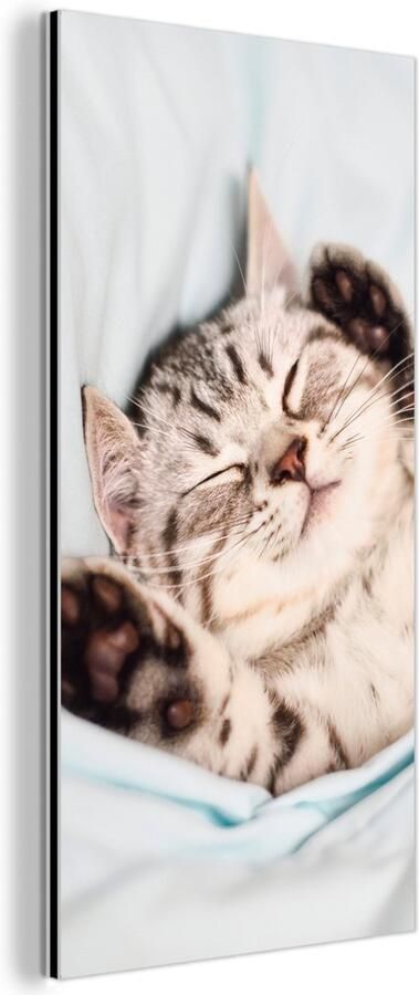 Aluminium schilderij 20x40 cm Wanddecoratie metaal Kitten Bed Poten Meisjes Kinderen Jongens Kind Metalen muurdecoratie woonkamer Decoratie industrieel Foto op dibond Industriële accessoires slaapkamer - Foto 2