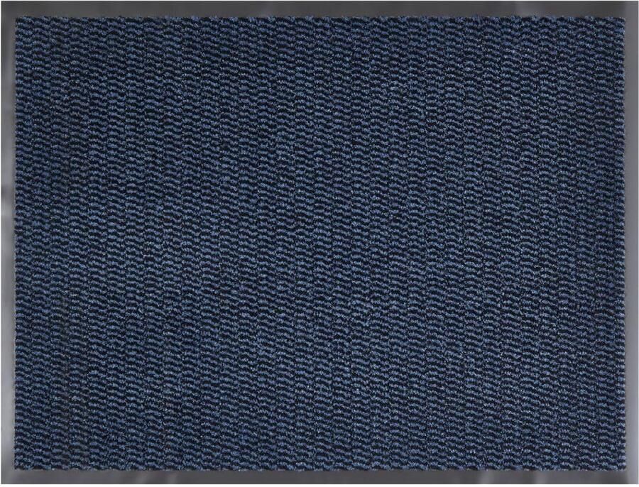 Andiamo Easy deurmat vuilvangmat voor de entree van uw huis flexibel inzetbaar als binnendeurmat deurmat in overdekte buitenruimtes of als schoenmat 90 x 150 cm Blauw