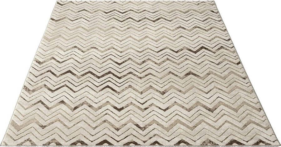 Anna Modern Vloerkleed voor Woonkamer Slaapkamer en Gang Beige-D4 160 x 230 cm - Foto 2