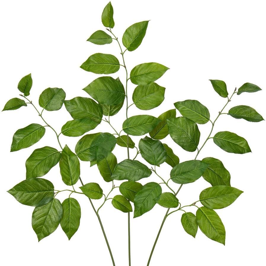 Arborus 3 stuks kunsttakken 79 cm kunsttakken voor vloervaas groene kunstplanten tak kunstmatige sabah bladeren takken en twijgen decoratie decoratieve takken voor vaas tafel plank kamerdecoratie