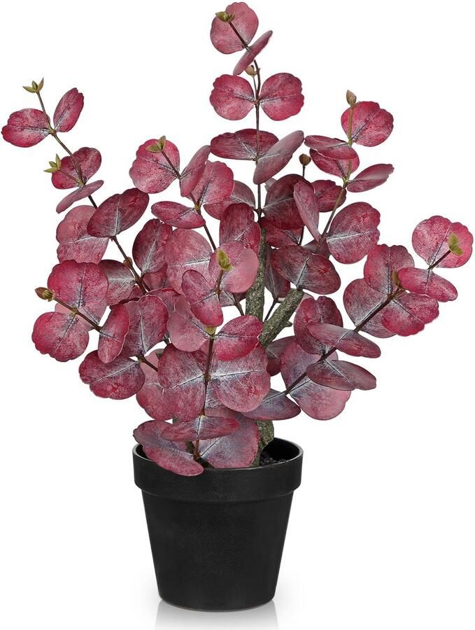 Arborus kunstplant eucalyptus rood 46 cm plant kunstmatig als echt in zwarte pot eucalyptus decoratie nep plant voor tafel plank vensterbank decoratie lente zomer herfst winter bruiloft decoratie