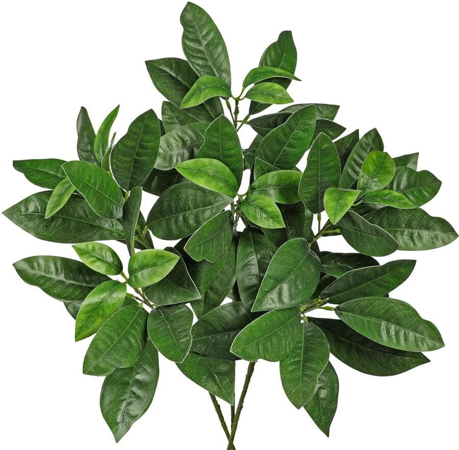 Arborus set van 3 takken kunstmatig zoals echt 76 lange kunsttakken groene kunstplanten tak ficus kunstmatige takken en twijgen decoratie voor vaas op tafel plank vensterbank hal entree het hele jaar door zomerdecoratie