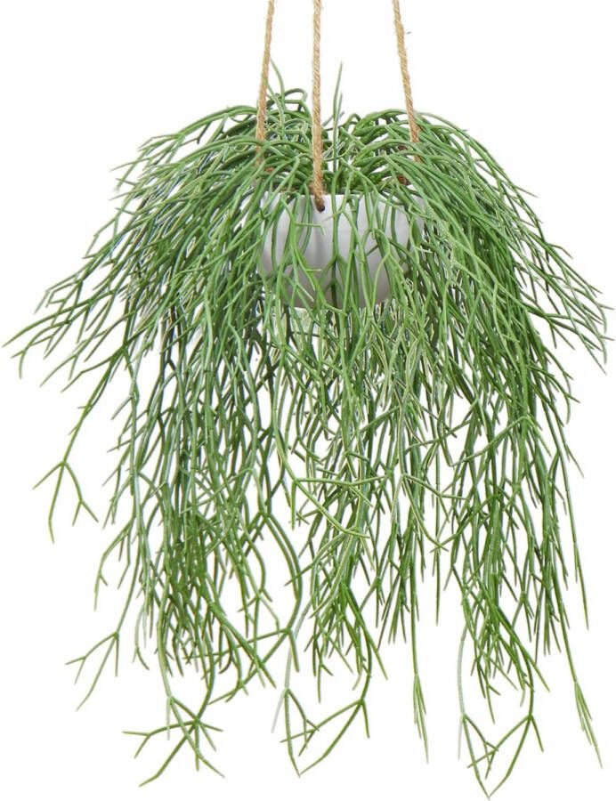 Art plant hangplant art matige potplant koraalcactus art ripsalis kamer voor decoratie hoogte 35 5 cm in hanglamp