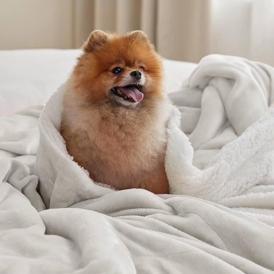 Beige Sherpa Deken voor de Bank Warme Knuffeldeken 1 stuk 230 x 270 cm