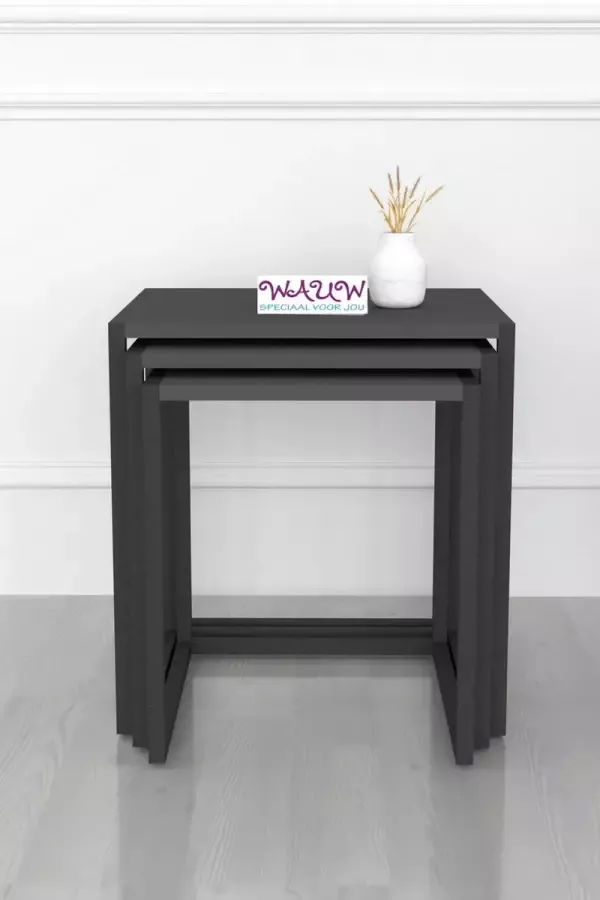 Musson BoFi Bijzettafel Grijs Set van 3 Nachtkast Bijzettafel koffietafel tafel