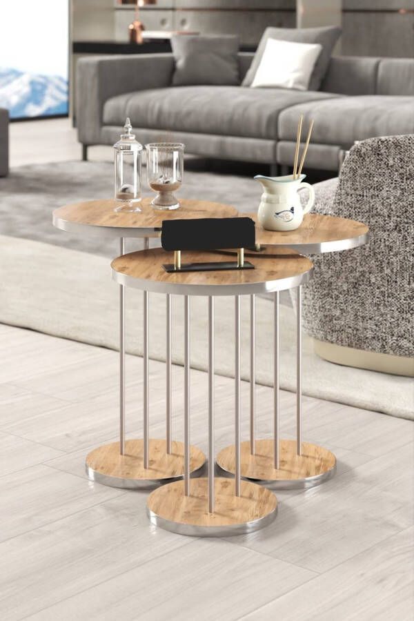 Bijzettafels set van 3 Salontafels Bijzettafel Bruin met zilveren rand Modern