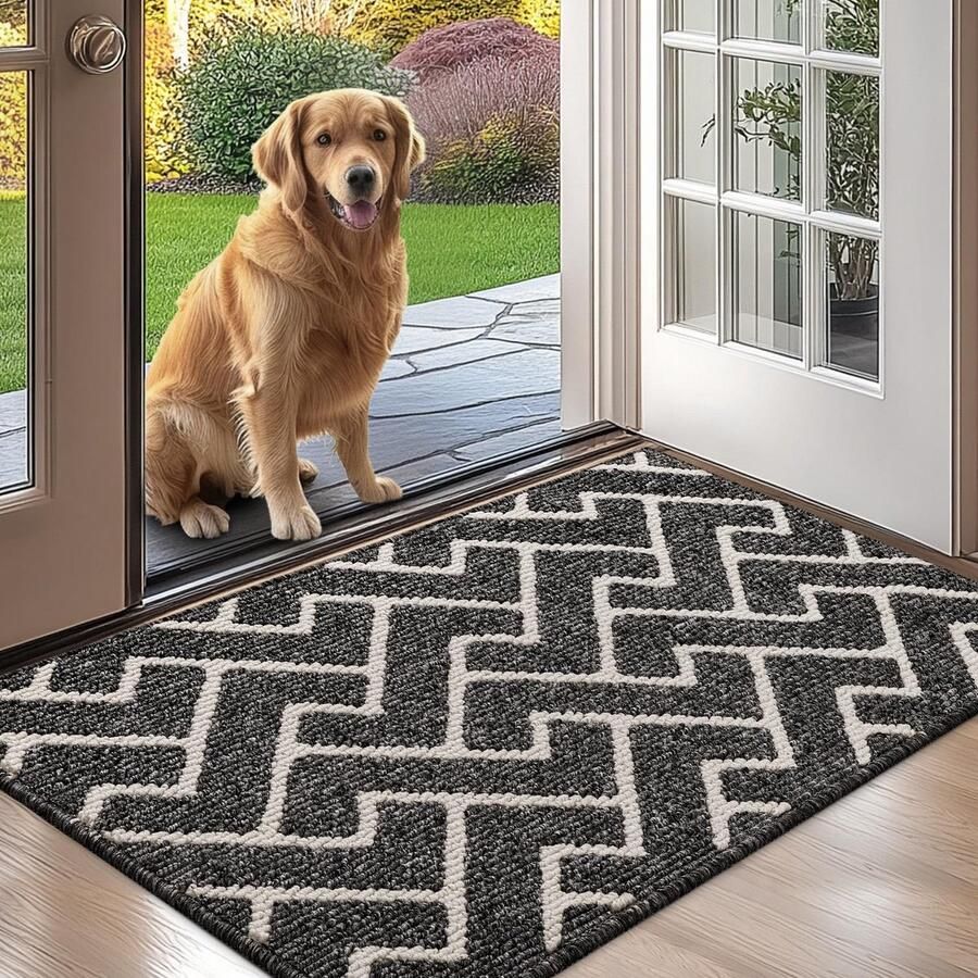 Biscpro Deurmat voor binnen vuilvangermat 60 x 90 cm waterdichte deurmat antislip deurmat tapijt voor buiten entree voordeur terras gang zwart