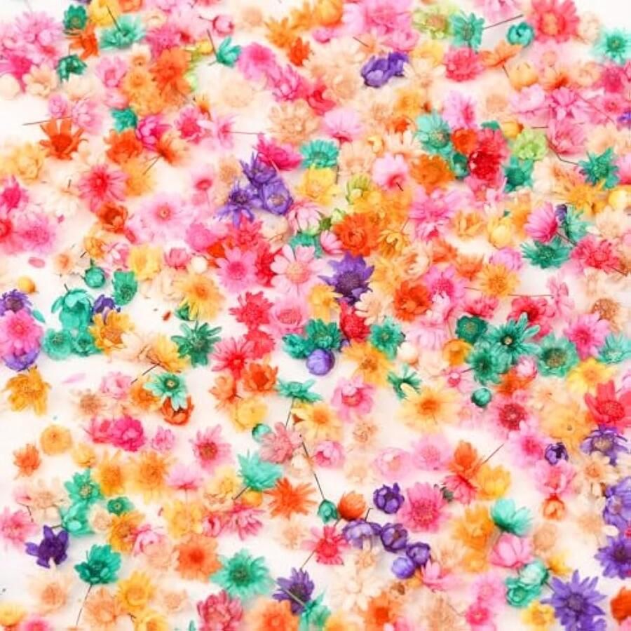 Bloemen 600 Delen Multikleuren Mini 0.3-1cm Natuurlijk voor Hars Kaarsen Nageldesign DIY Crafting