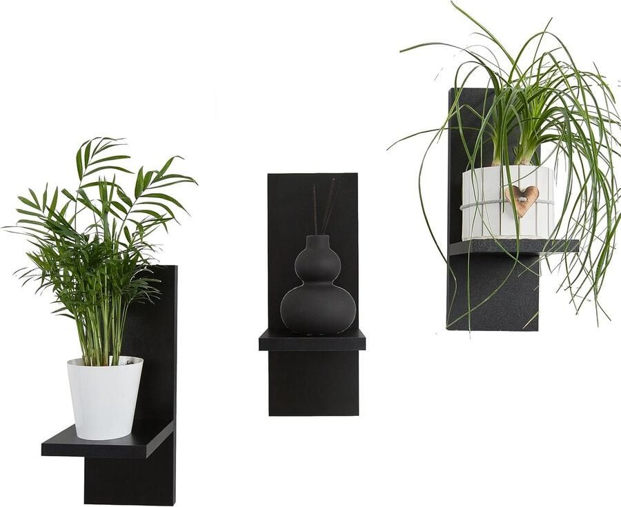 Bloemenplanken Set van 3 Zwarte Houten Wandplanken voor Planten