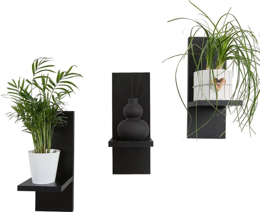 Bloemenrek set van 3 stijlvolle wandplanken hout voor je planten en wanddecoratie (zwart)