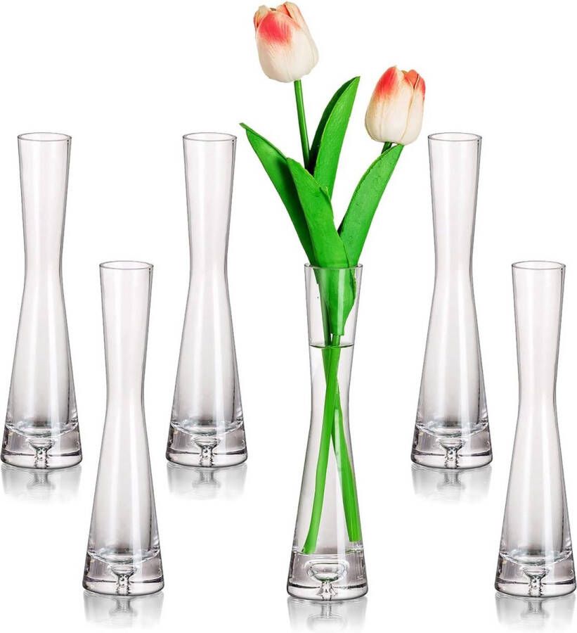 Bloemenvaas moderne glazen vazen smal 6 stuks 24 5 cm hoog Blomus vaas glazenset handgemaakt smalle vazen woonkamer eettafel tafeldecoratie tulpenvaas decoratieve vaas voor
