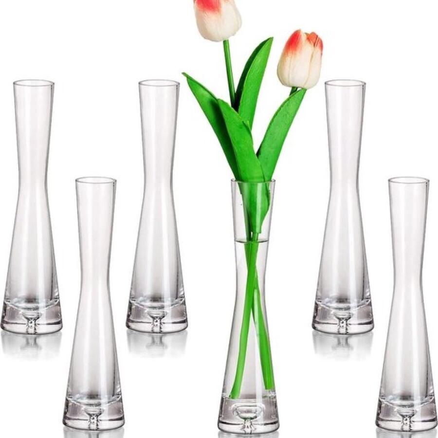 Bloemenvaas moderne glazen vazen smal 6 stuks 24 5 cm hoog Blomus vaas glazenset handgemaakt smalle vazen woonkamer eettafel tafeldecoratie tulpenvaas decoratieve vaas voor
