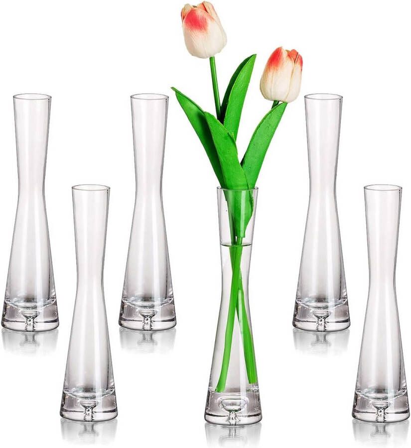 Bloemenvaas moderne glazen vazen smal set van 6 20 cm hoog Blomus vaas glazenset handgemaakt smalle vazen woonkamer eettafel tafeldecoratie tulpenvaas decoratieve vaas voor