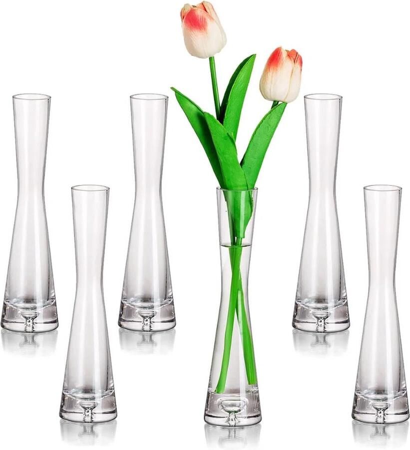 Bloemenvaas moderne glazen vazen smal set van 6 20 cm hoog Blomus vaas glazenset handgemaakt smalle vazen woonkamer eettafel tafeldecoratie tulpenvaas decoratieve vaas voor