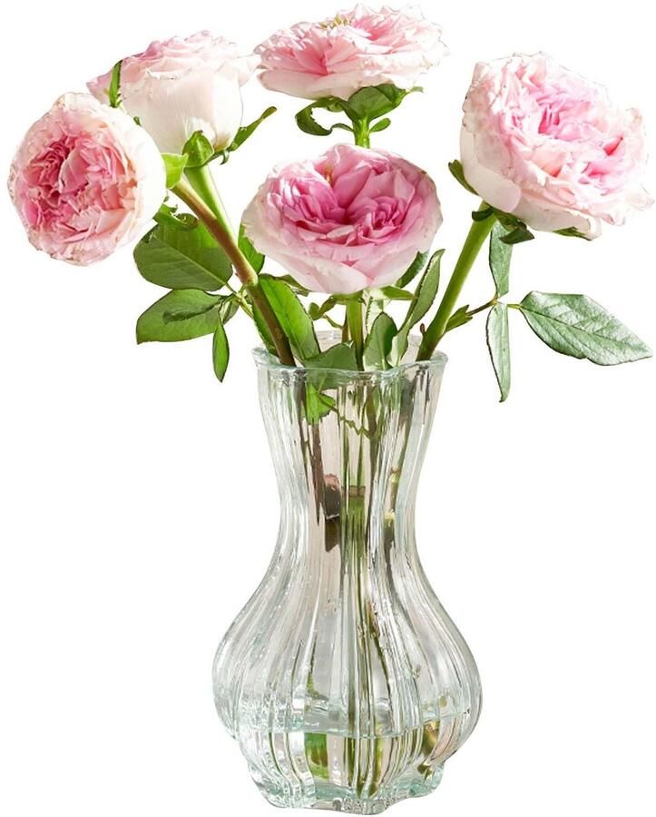 Bloemenvaas van glas esthetische vazen ​​van glas transparante glazen vaas decoratieve vazen ​​voor moderne huisdecoratie voor feesten woonkamers bruiloften tafelplanken badkamer eettafel raam (20 5 cm)