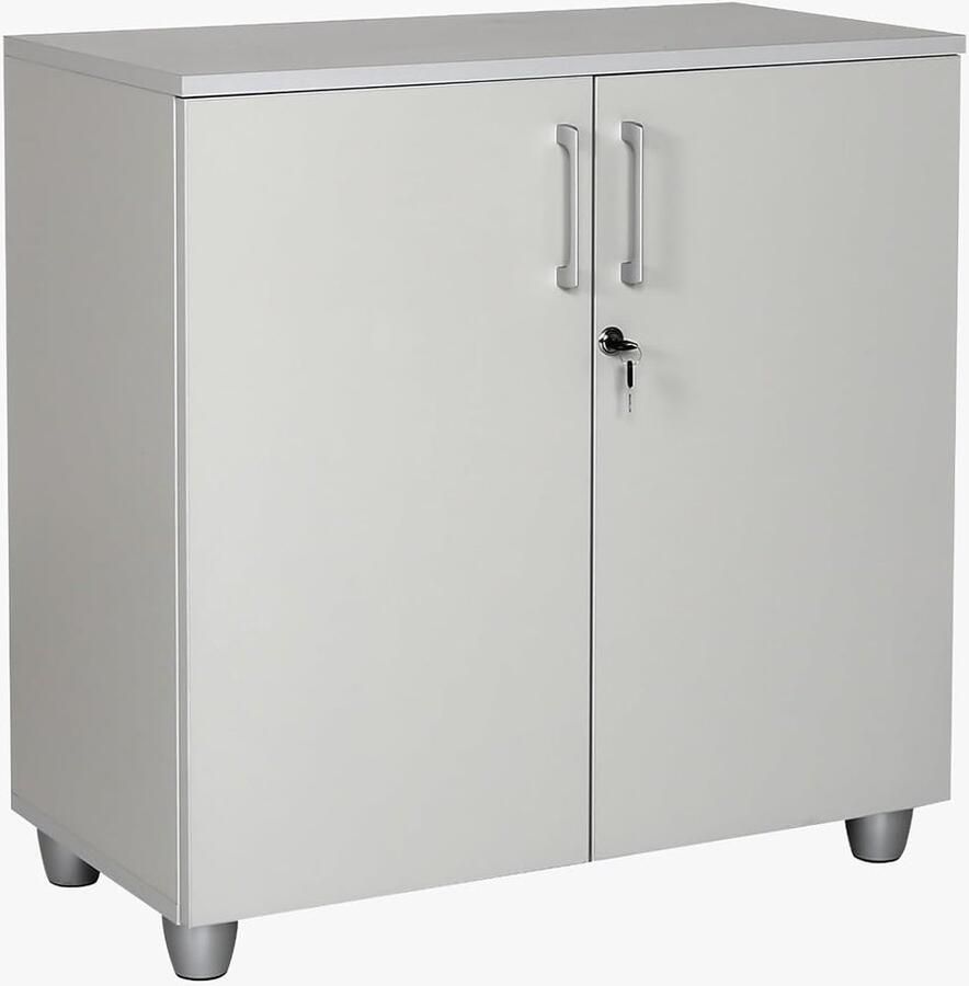 Boekenkast met Slot en Verstelbare Planken voor Kantoor en Thuis Opbergkast Grijs 80x80x40cm