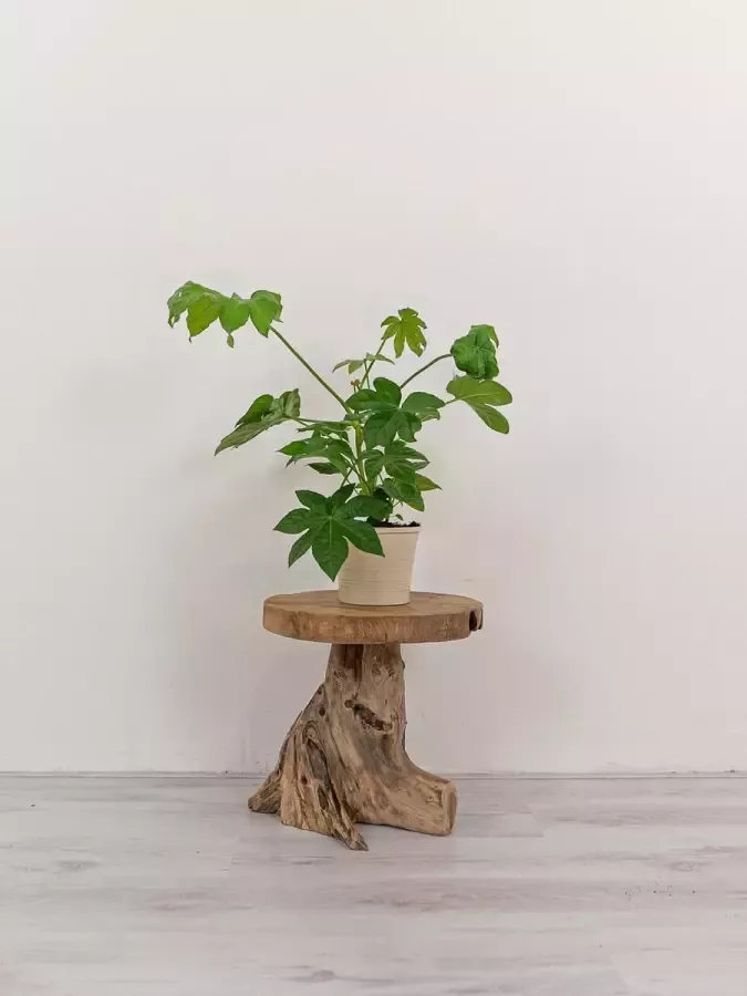 Boomstam krukje bijzettafeltje teak hout Ars Longa