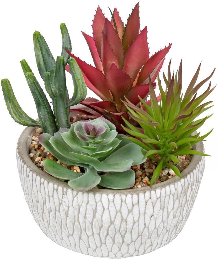 Briful kunstplant succulenten kunstmatige kamerplant succulent arrangement decoratieve tafeldecoratie decoratie woonkamer succulent in cementen pot voor badkamer bureau dressoir hoogte 16cm
