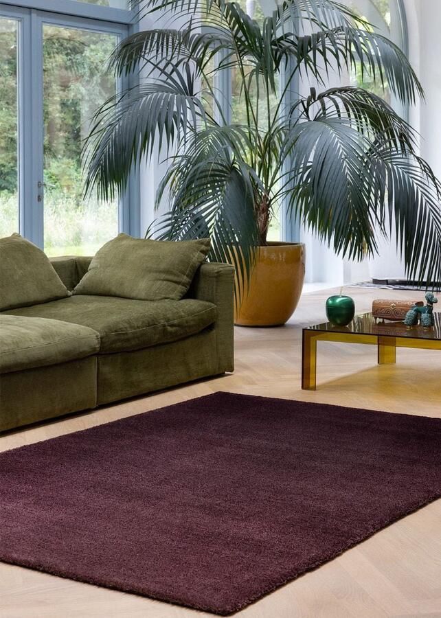 Brink & Campman Shade Low Plum Fig 010100 Vloerkleed 170 x 240 cm Paars Rectangular Wol Eetkamer Woonkamer Schakering Industriëel Modern - Foto 2