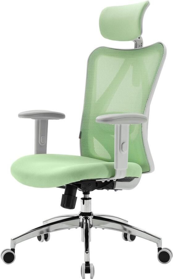 Retadou Bureaustoel ergonomisch computerbureaustoel met verstelbare hoofdsteun en lendensteun hoge rug executive draaistoel voor thuiskantoor (lichtgroen)