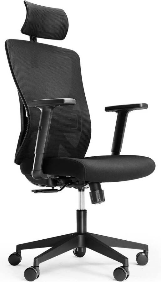 Bureaustoelen ergonomische bureaustoel met verstelbare lendensteun 2D-hoofdsteun en armleuning hoogteverstelling en kantelfunctie voor executive werk en studie