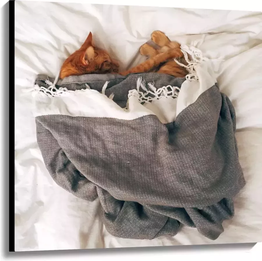 Canvas Rode Kat onder Deken op Bed 100x100 cm Foto op Canvas Schilderij (Wanddecoratie op Canvas)