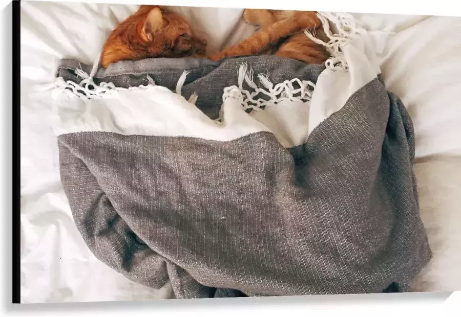 Canvas Rode Kat onder Deken op Bed 120x80 cm Foto op Canvas Schilderij (Wanddecoratie op Canvas)